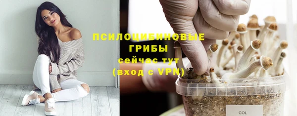 герыч Михайловка