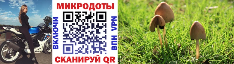 Галлюциногенные грибы MAGIC MUSHROOMS  Тобольск 